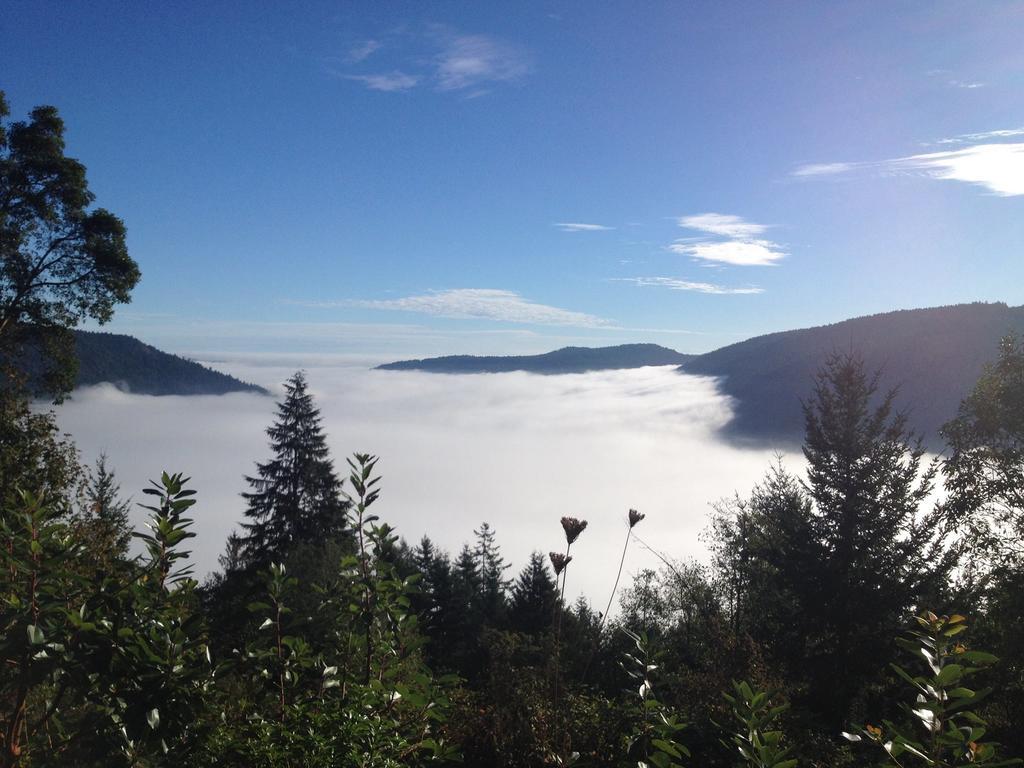 Moon Water Lodge Malahat Pokój zdjęcie